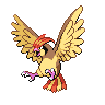 pidgeotto image
