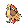 pidgeot image