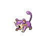 rattata image