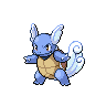 wartortle image